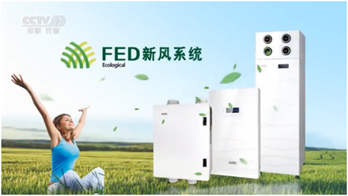 FED新風 許你繁華似錦的前程